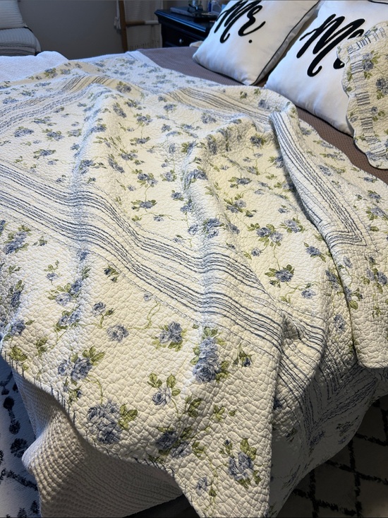 Quilter Collection Other - Quilter Collection Shabby Chic Cottagecore Floral Quilt And Pillow Sham